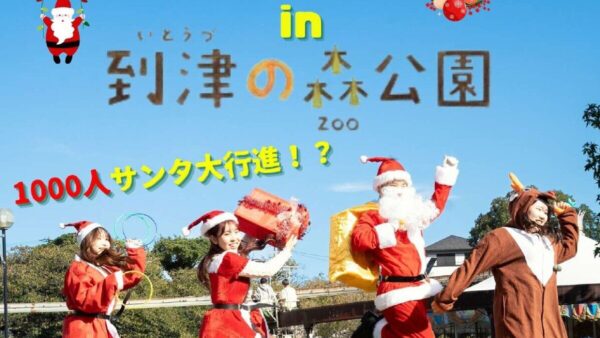 サニーライフォン「サンタウォーク in 到津の森公園」参加のお知らせ